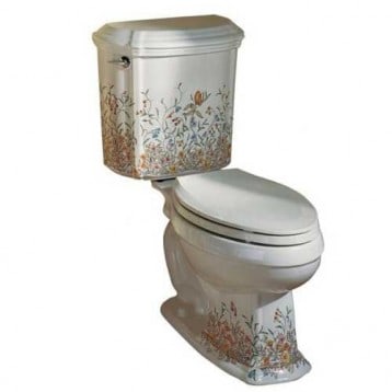 Review: The Kohler Santa Rosa - Rate My Toilet Review: The Kohler Santa Rosa - Rate My Toilet
